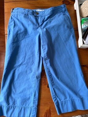 GAP Light Blue Capri Pants